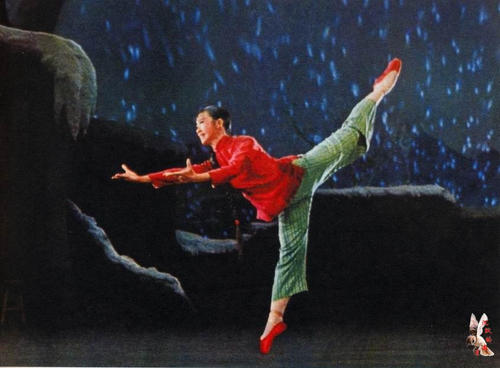 仿制假新加坡护照扫描件